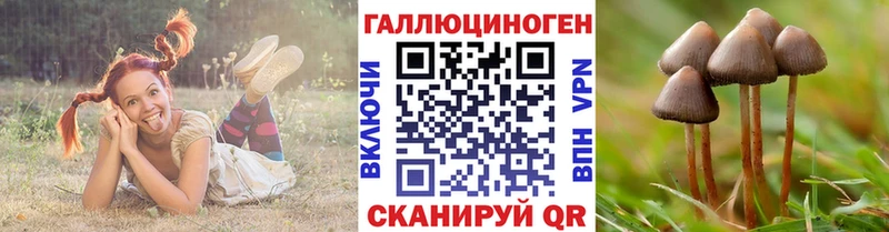 Галлюциногенные грибы прущие грибы  Новороссийск 