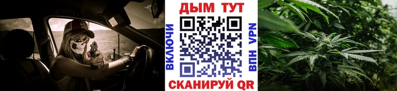 где найти   Новороссийск  Каннабис OG Kush 